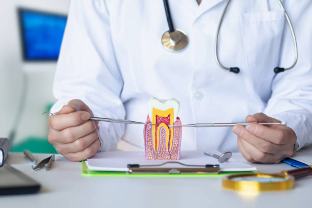 Best Emergency Orthodontic Repairs in Vassar College, NY
